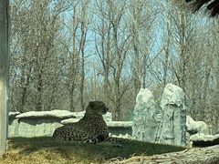 -北京野生动物园