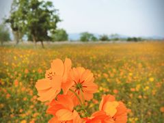 -良渚古城遗址公园