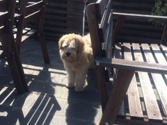 iphone_upload_pic-湖丝栈