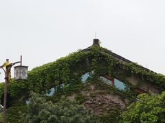 -绍兴镜湖国家城市湿地公园