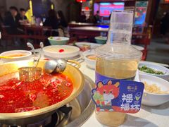 -小龙坎火锅(春熙太古里店)