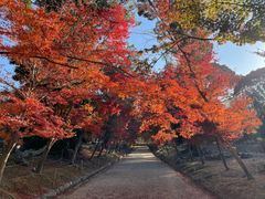 -醍醐寺