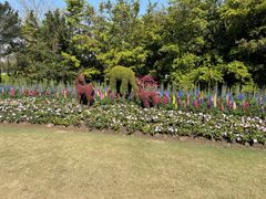-上海滨江森林公园