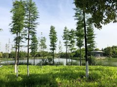 -尚贤河湿地