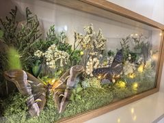 -上海昆虫博物馆