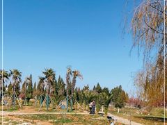 -呈贡滇池生态湿地公园