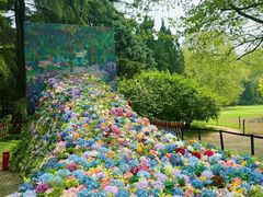 -上海共青森林公园