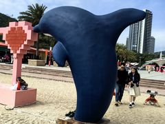 -玫瑰海岸文化旅游度假区