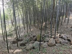 -采石矶景区