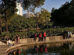 -晓港公园