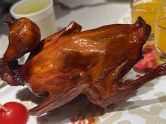 -大鸽饭(岗顶店)