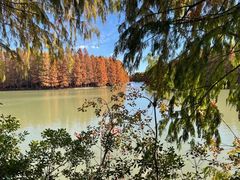 -上海海湾国家森林公园