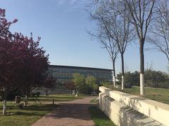 -北京国家会计学院