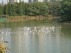 -艾溪湖湿地公园