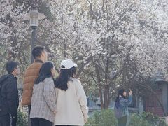 -山东师范大学(千佛山校区)