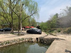 -可心烤鱼