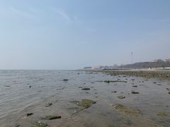 -仙浴湾广场