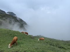 -乌蒙大草原