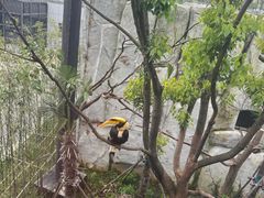 -武汉动物园