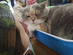 -藦茜花园宠物主题亲子互动体验馆(国顺东路店)