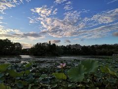 -新江湾城公园