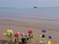 -天津东疆湾沙滩景区