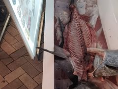 -大起水产回转寿司(道顿堀店)