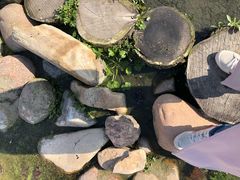 -滨湖塘西河公园