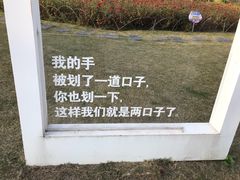 -菊园百果园