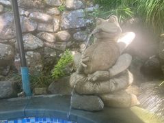 -宁海森林温泉