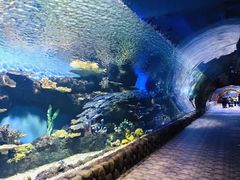 -华夏文旅海洋公园