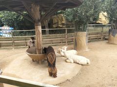 -辛玛王国游乐园