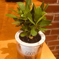 -时尚殿堂·颜SPA