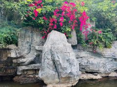 -神光山国家森林公园