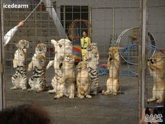 -石家庄市动物园