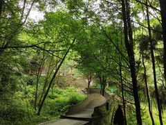 -凤栖山