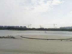 -南翔镇银翔湖公园