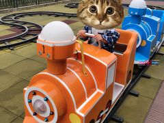 -蒙特利亲子乐园