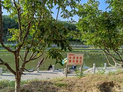 -东坝千亩湖公园