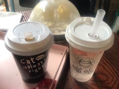 -喵屿·大理花园猫咖