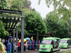 -都江堰中华大熊猫苑