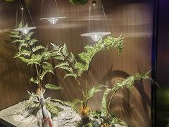 -大桶大足浴(山钢和润荟店)