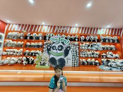 -熊猫邮局(少城店)