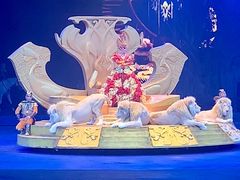 -广州长隆国际大马戏