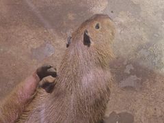 -正佳雨林生态植物园