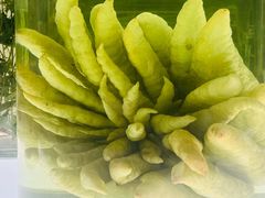 -北京中医药大学-中医药博物馆