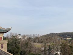 -武汉大学-樱园