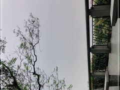 -广州市白云山风景名胜区
