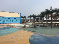 -秦皇岛乐岛海洋王国