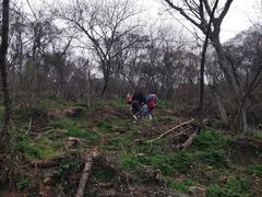 -南京老山国家森林公园